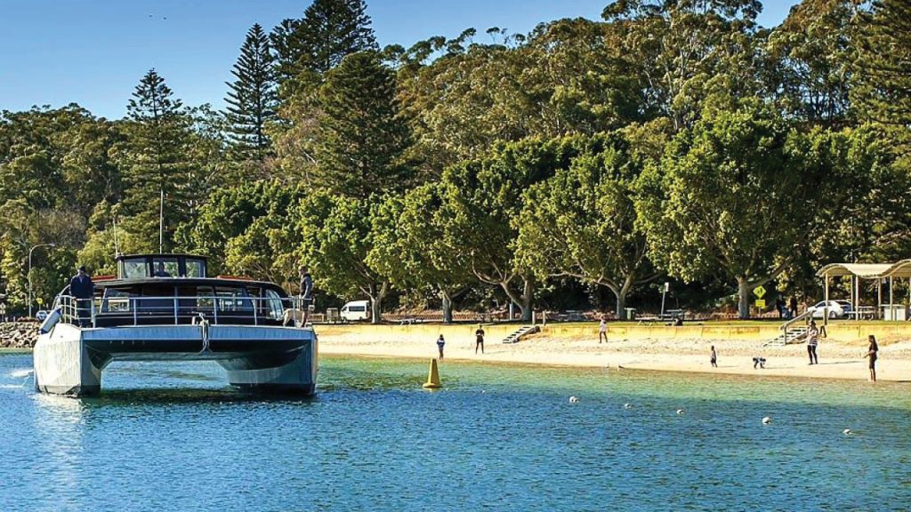 catamaran nelson bay